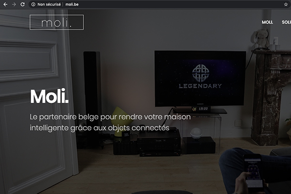 Website Moli